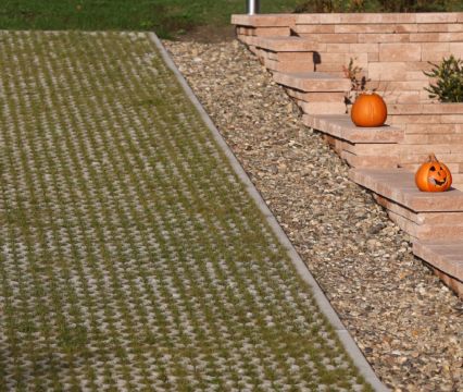 cs01p101b101-02_vege